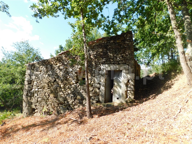 Terreno com ruina / Seia, Seia