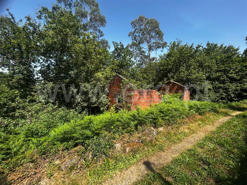 Terreno com ruina / Sever do Vouga, Silva Escura e Dornelas