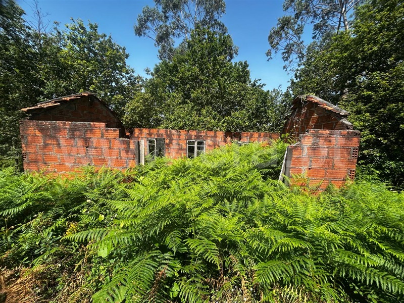 Terreno com ruina  Sever do Vouga, Silva Escura e Dornelas - 1501562 - 2