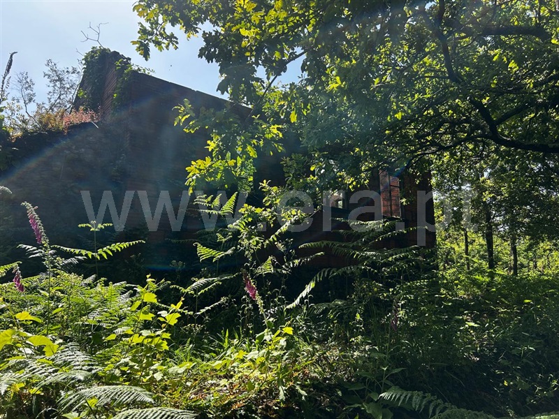 Terreno com ruina  Sever do Vouga, Silva Escura e Dornelas - 1501562 - 4