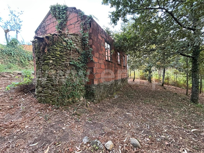 Terreno com ruina  Sever do Vouga, Silva Escura e Dornelas - 1501562 - 8