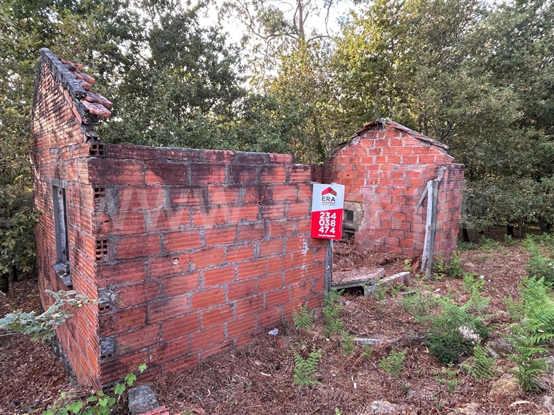 Terreno com ruina  Sever do Vouga, Silva Escura e Dornelas - 1501562 - 12