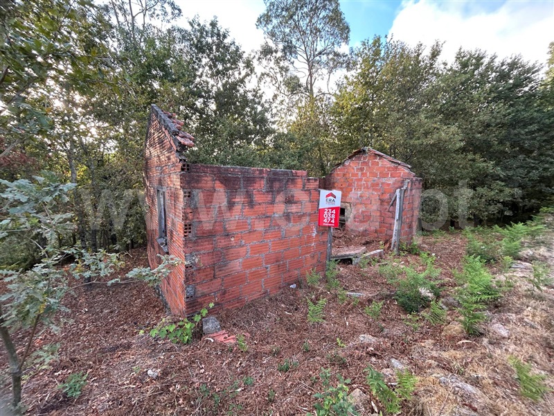 Terreno com ruina / Sever do Vouga, Silva Escura e Dornelas