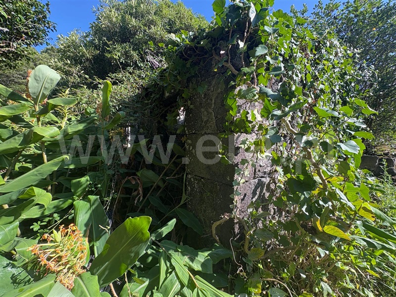 Terreno com ruina T1 / Lajes do Pico, Ribeirinha