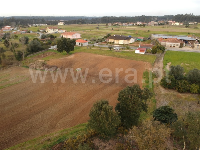 Terreno Misto  Montemor-o-Velho, Liceia - 1319831 - 13