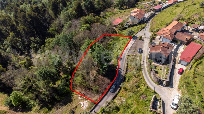 Terreno com ruina T1 Ponte de Lima, Labruja - 1472444 - 2