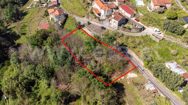 Terreno com ruina T1 Ponte de Lima, Labruja - 1472444 - 4
