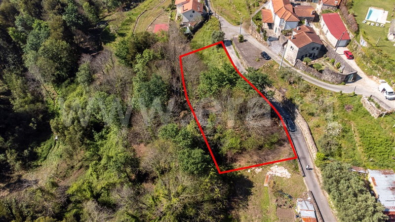 Terreno com ruina T1 Ponte de Lima, Labruja - 1472444 - 5