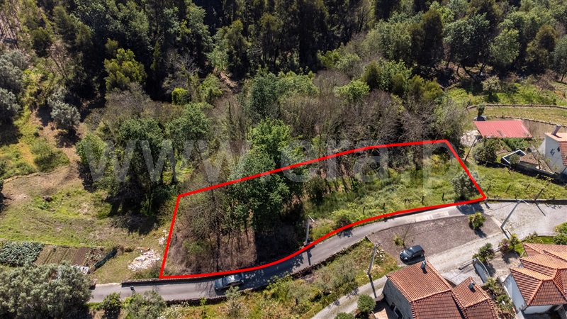 Terreno com ruina T1 Ponte de Lima, Labruja - 1472444 - 6