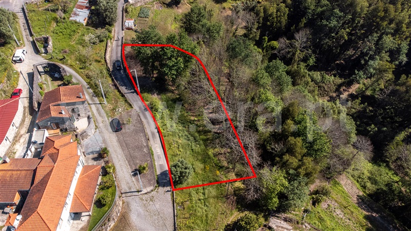 Terreno com ruina T1 Ponte de Lima, Labruja - 1472444 - 9