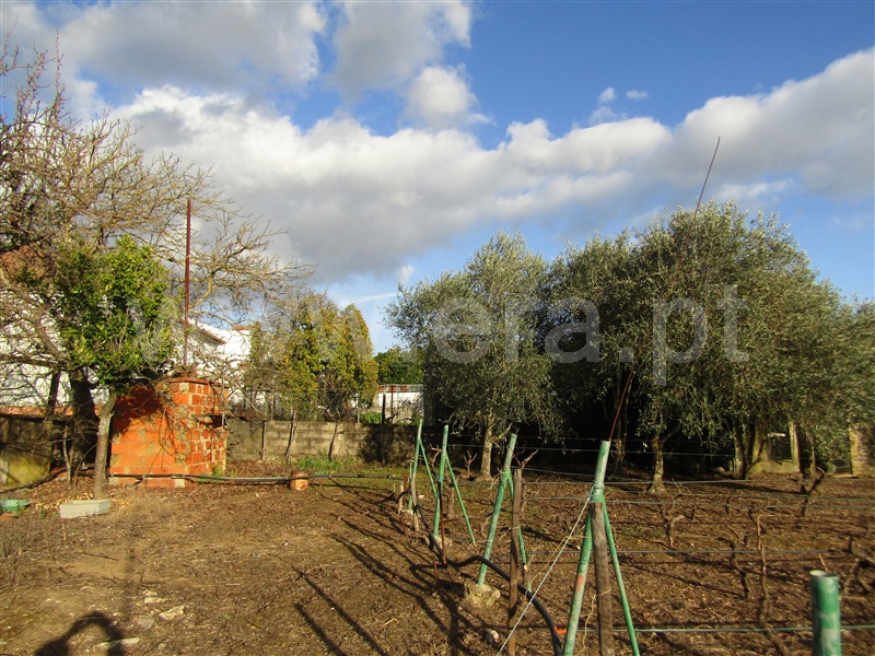 Terreno com ruina T2 Abrantes, Mouriscas - 1229803 - 2