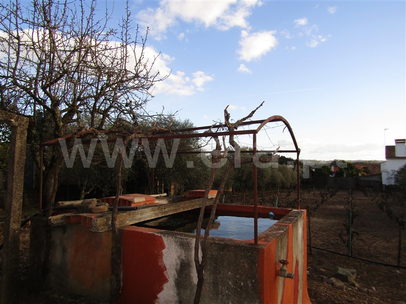 Terreno com ruina T2 Abrantes, Mouriscas - 1229803 - 4