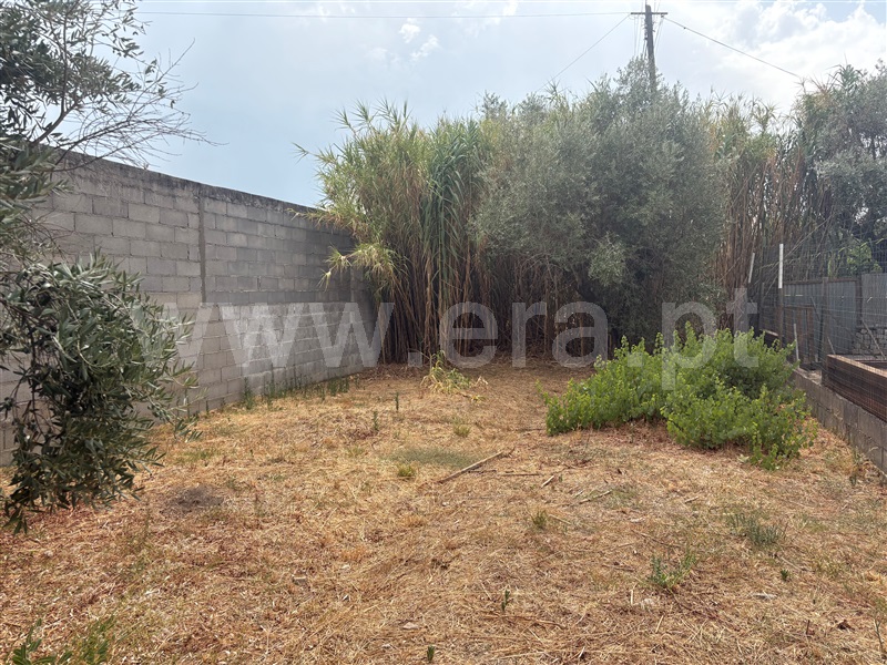 Terreno com ruina T2 Abrantes, Pego - 1500351 - 3