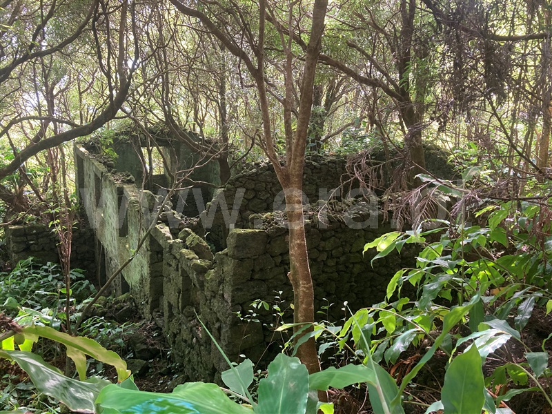 Terreno com ruina T2 / Lajes do Pico, Calheta de Nesquim