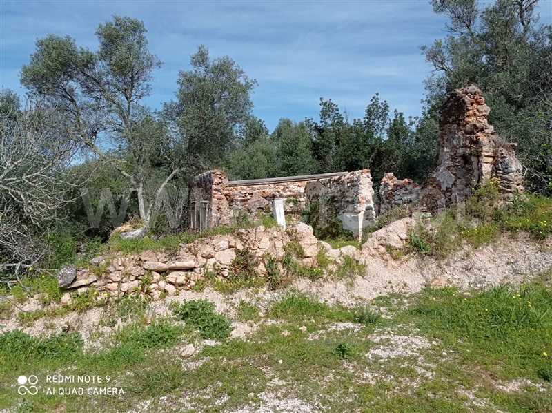 Terreno com ruina T2 / Loulé, Querença, Tôr e Benafim