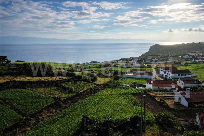Terreno com ruina T2 / São Roque do Pico, Prainha