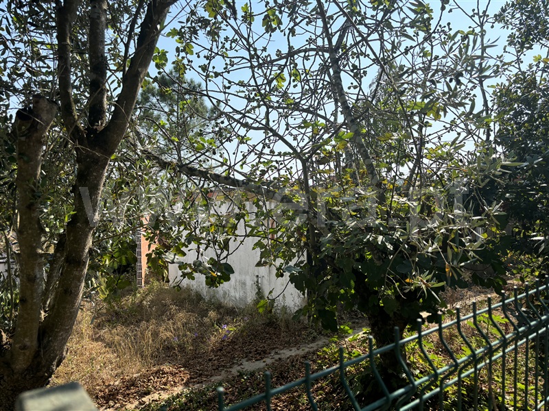 Terreno com ruina T2 Sintra, Almargem do Bispo, Pêro Pinheiro e Montelavar - 1431394 - 2