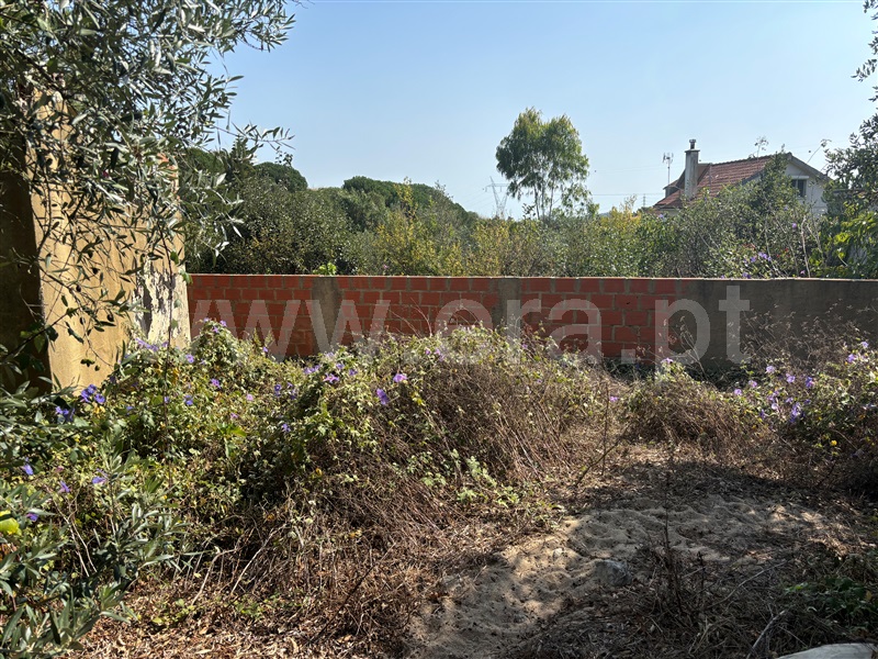 Terreno com ruina T2 Sintra, Almargem do Bispo, Pêro Pinheiro e Montelavar - 1431394 - 3