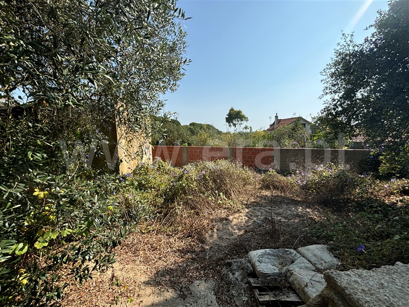 Terreno com ruina T2 Sintra, Almargem do Bispo, Pêro Pinheiro e Montelavar - 1431394 - 4