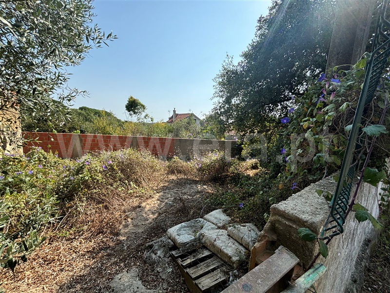Terreno com ruina T2 Sintra, Almargem do Bispo, Pêro Pinheiro e Montelavar - 1431394 - 5