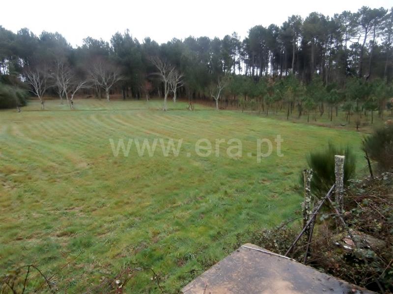Terreno com ruina T2 Vila Pouca de Aguiar, Vreia de Jales - 709626 - 2