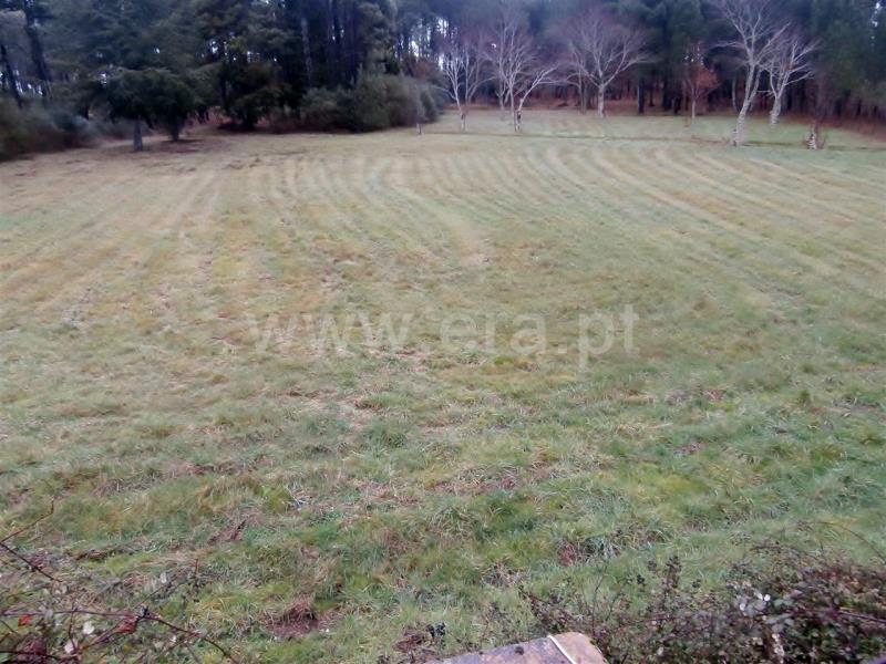 Terreno com ruina T2 Vila Pouca de Aguiar, Vreia de Jales - 709626 - 7