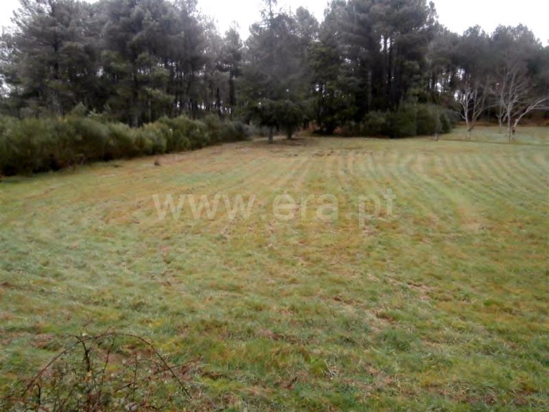 Terreno com ruina T2 Vila Pouca de Aguiar, Vreia de Jales - 709626 - 8