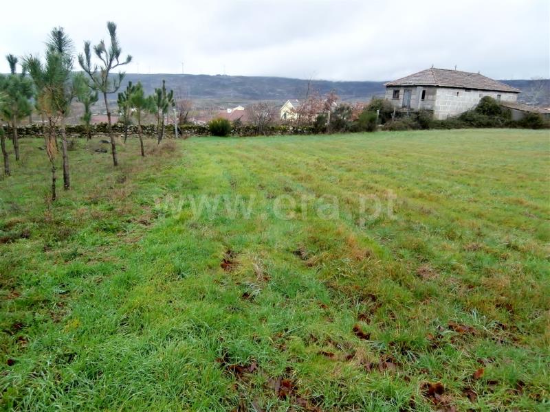 Terreno com ruina T2 Vila Pouca de Aguiar, Vreia de Jales - 709626 - 1
