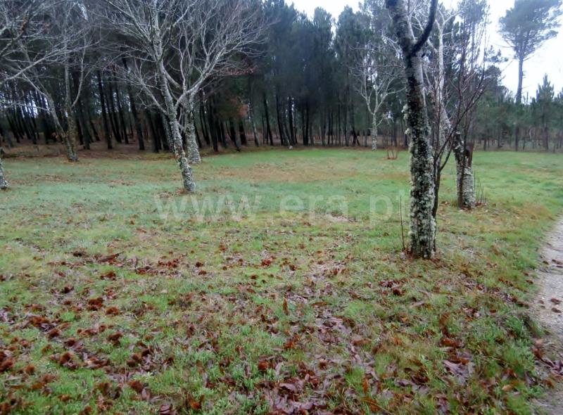 Terreno com ruina T2 Vila Pouca de Aguiar, Vreia de Jales - 709626 - 5
