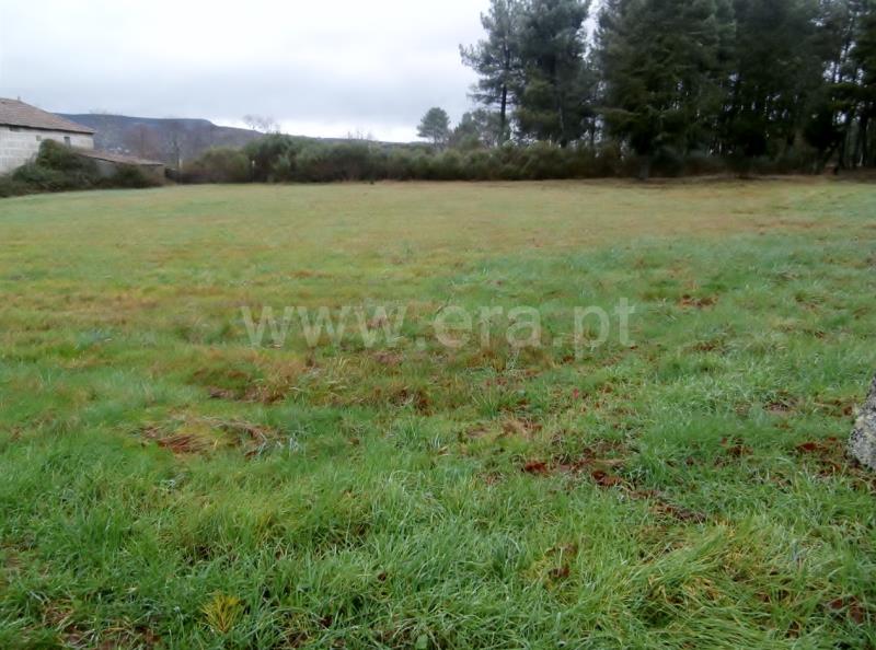 Terreno com ruina T2 Vila Pouca de Aguiar, Vreia de Jales - 709626 - 12