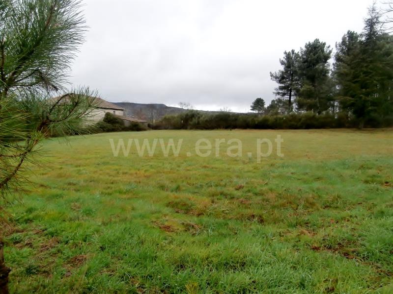 Terreno com ruina T2 Vila Pouca de Aguiar, Vreia de Jales - 709626 - 13