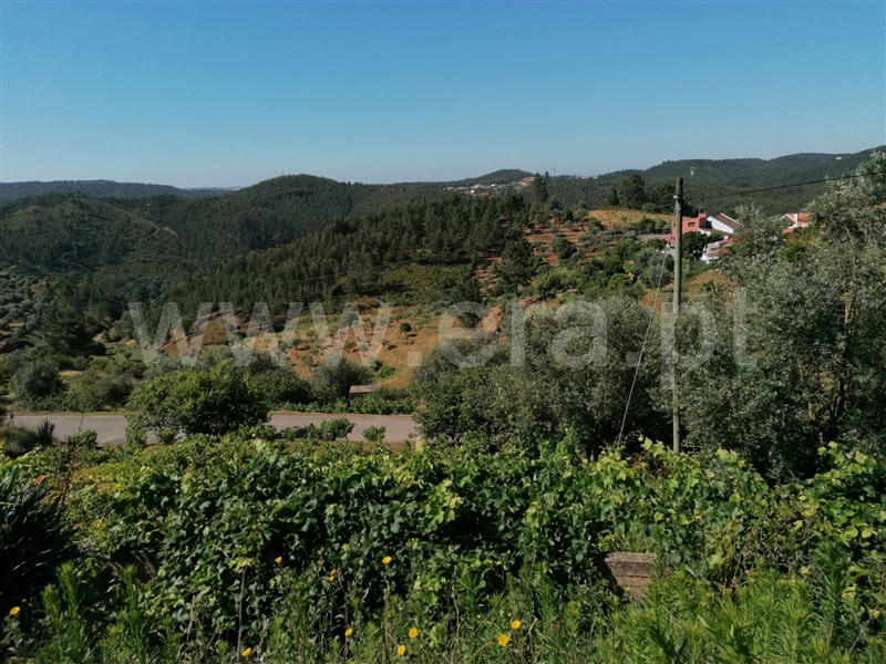 Terreno com ruina T3 Abrantes, Martinchel - 1181157 - 2