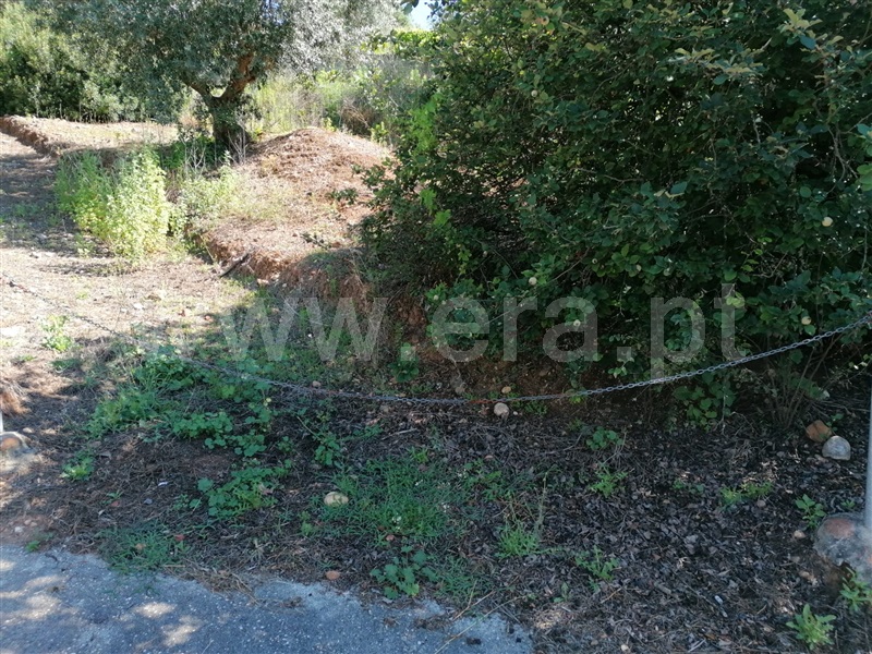 Terreno com ruina T3 Abrantes, Martinchel - 1181157 - 5