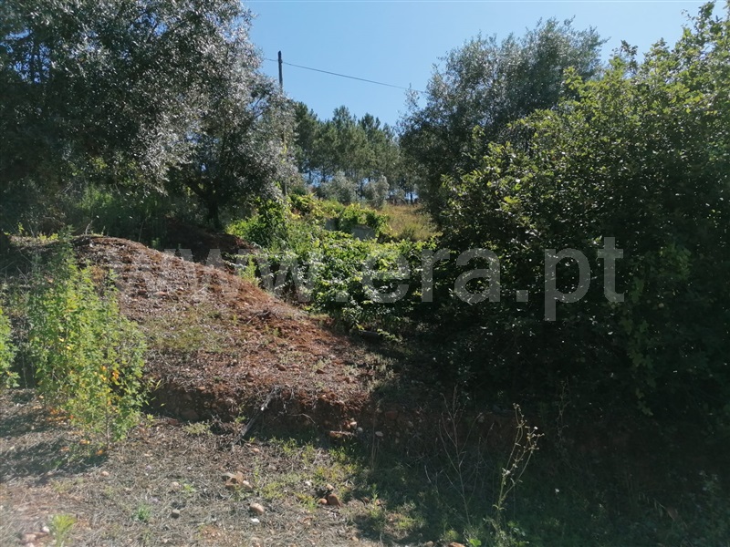 Terreno com ruina T3 Abrantes, Martinchel - 1181157 - 6