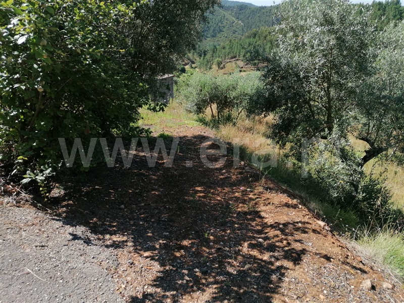 Terreno com ruina T3 Abrantes, Martinchel - 1181157 - 7