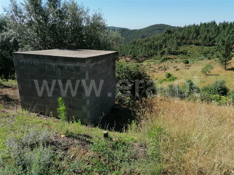 Terreno com ruina T3 Abrantes, Martinchel - 1181157 - 10