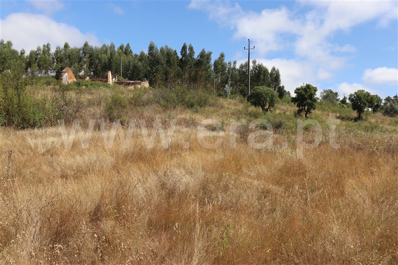 Moradia T3 Abrantes, Martinchel - 1352259 - 4