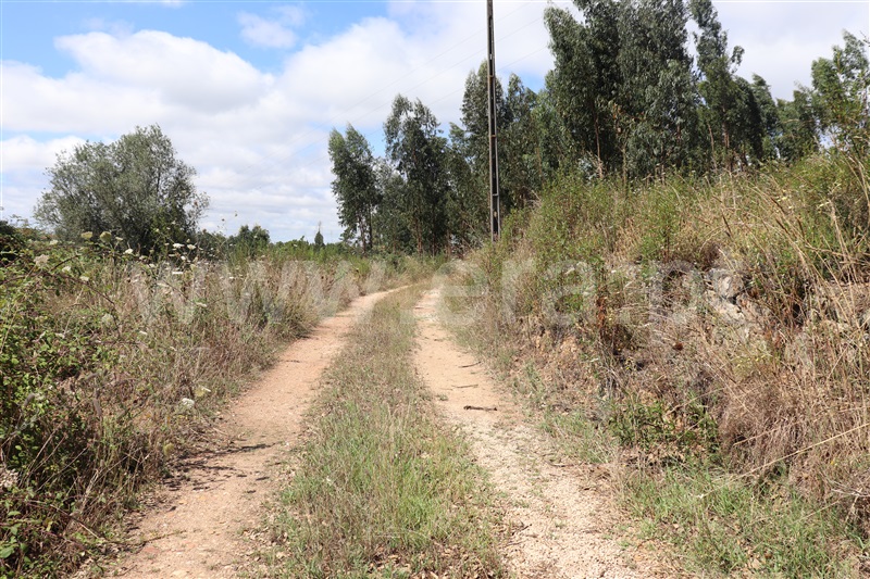 Moradia T3 Abrantes, Martinchel - 1352259 - 5