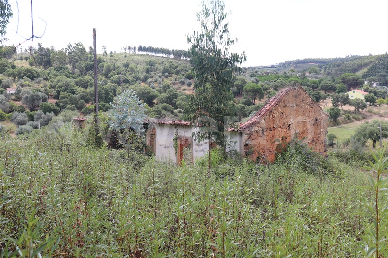 Moradia T3 Abrantes, Martinchel - 1352259 - 11