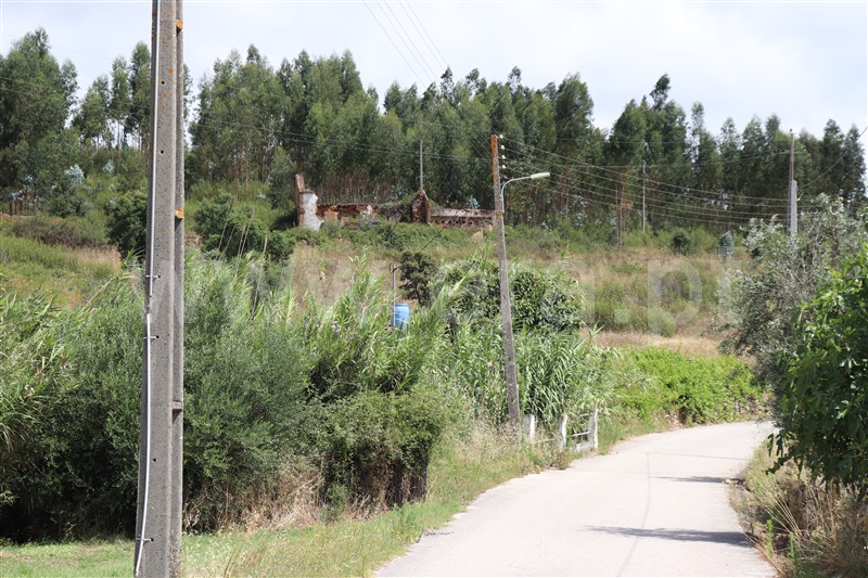 Moradia T3 Abrantes, Martinchel - 1352259 - 12