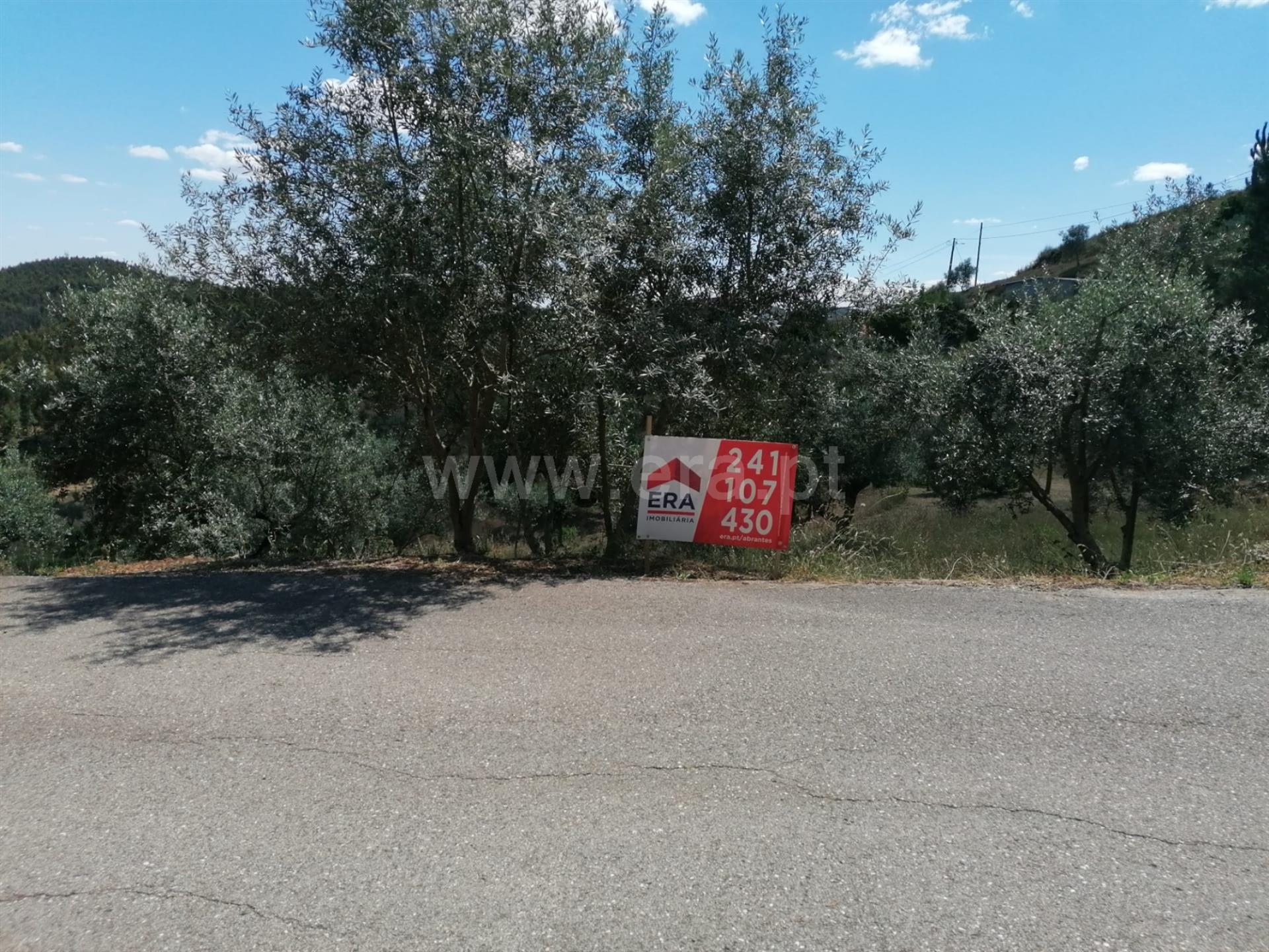 Land for sale in Abrantes, Portugal — €52,500