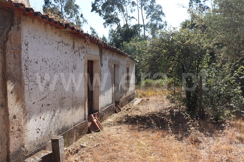 Terreno com ruina T3 Constância, Santa Margarida - 1499462 - 2