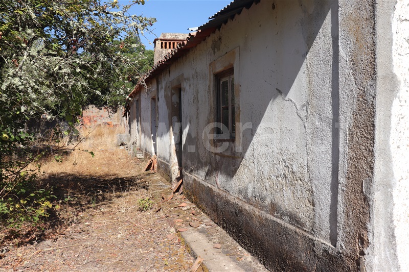 Terreno com ruina T3 / Constância, Santa Margarida