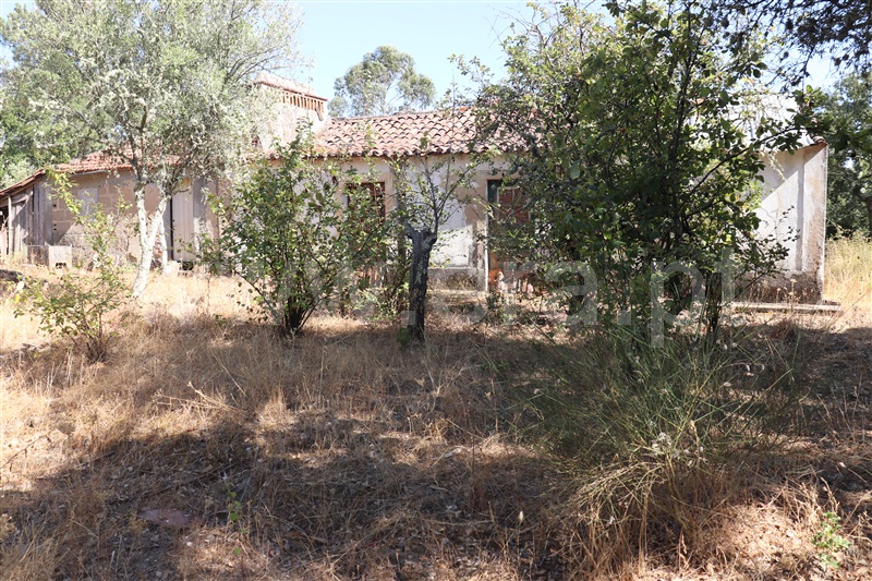 Terreno com ruina T3 Constância, Santa Margarida - 1499462 - 4