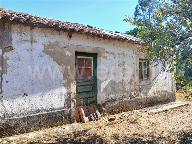 Terreno com ruina T3 Constância, Santa Margarida - 1499462 - 10