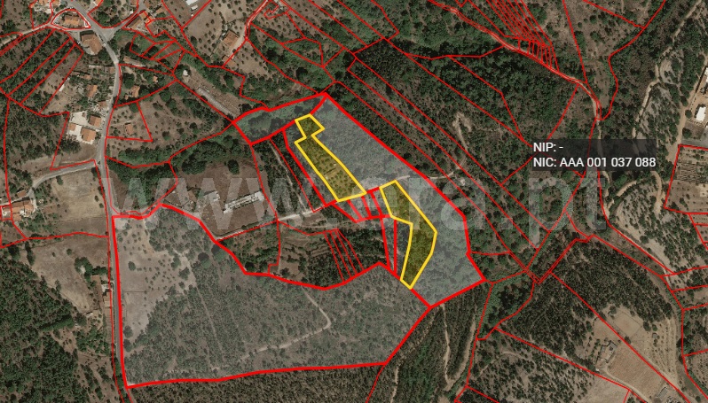 Terreno com ruina T3 Constância, Santa Margarida - 1499462 - 12
