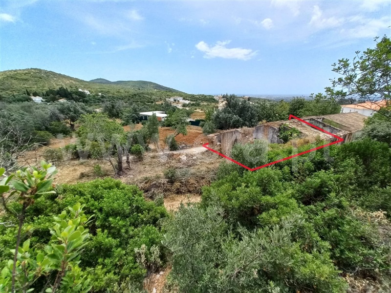 Terreno com ruina T3 / Faro, Charneca