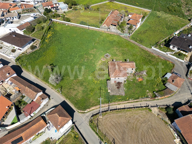 Terreno com ruina T3 / Oliveira de Azeméis, Pinheiro da Bemposta