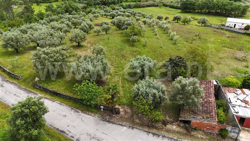 Terreno com ruina T3 / Pombal, Vila Cã