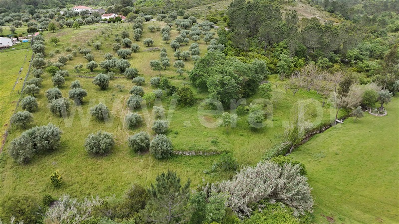 Moradia  Pombal, Vila Cã - 1480671 - 3